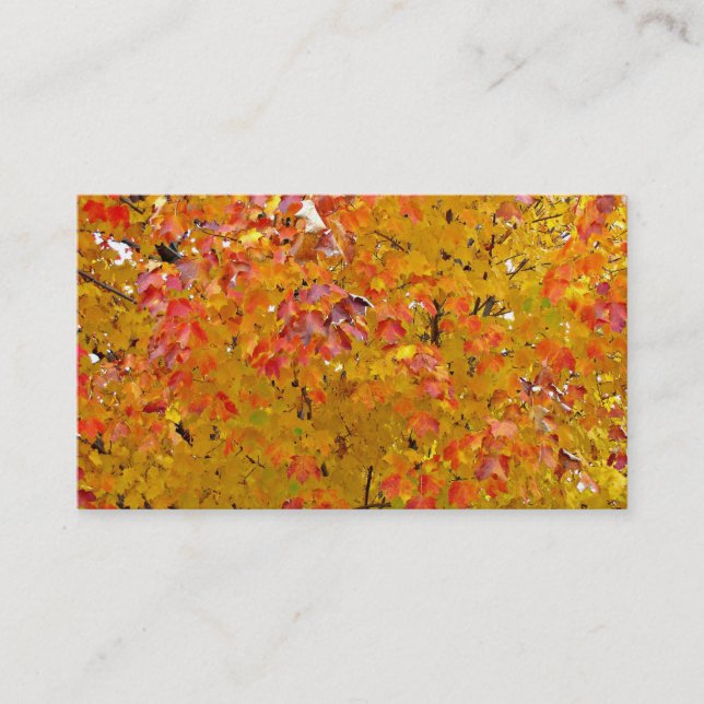 Höst löv visitkortar, höst löv, natur visitkort (Framsida)