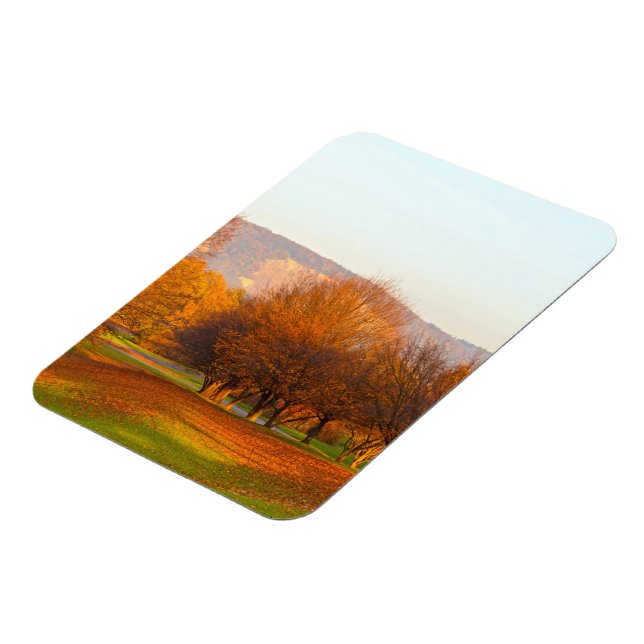 Höst Magnet (Vänstra Sidan)
