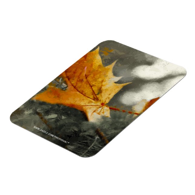 Höst Magnet (Vänstra Sidan)