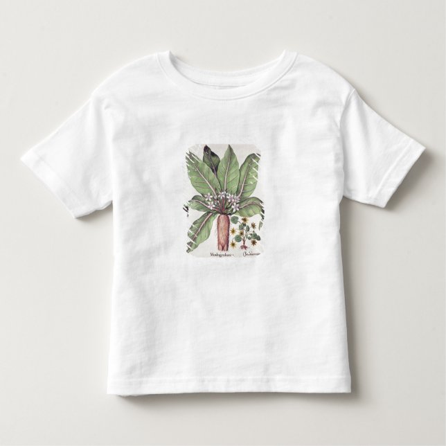 Höst Mandrake, från "Hortusen Eystettensis" by Tee Shirt (Framsida)