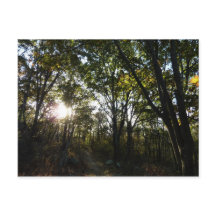Höst Morgon i Shenandoah National Park
