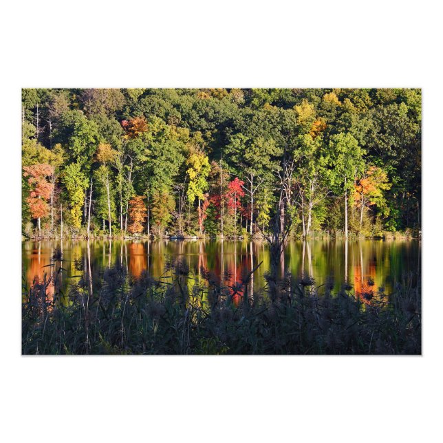 Höst på Beardsley Pond Fototryck (Framsidan)