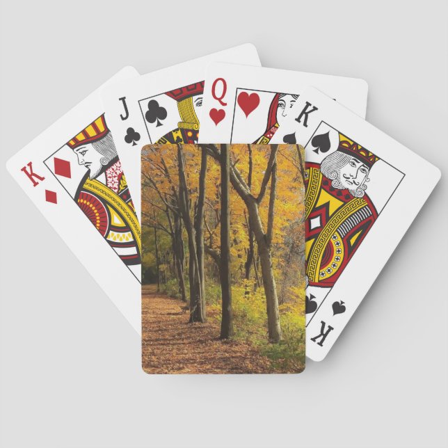 Höst på cykelslingan II Casinokort (Baksidan)