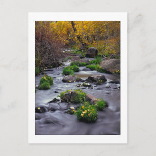 "Höst på Mill Creek" Vykort