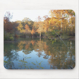 Höst poesi musmatta