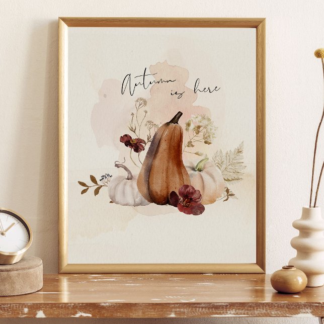 Höst Pumpa Botanisk Poster (Skapare uppladdad)