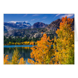 Höst runt June Lake, Kalifornien Hälsningskort