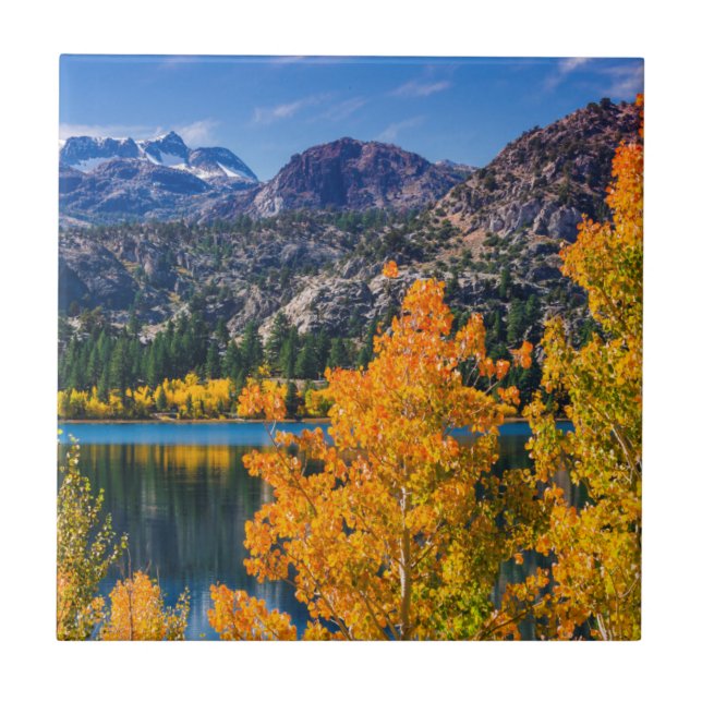 Höst runt June Lake, Kalifornien Kakelplatta (Framsidan)