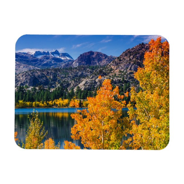 Höst runt June Lake, Kalifornien Magnet (Horisontell)