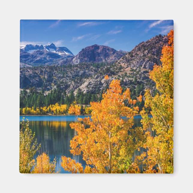 Höst runt June Lake, Kalifornien Magnet (Framsidan)