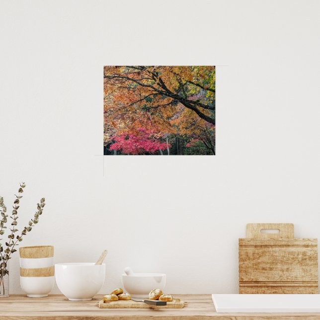 Höst Säsong Blad Färger Botanisk Poster (Kök)