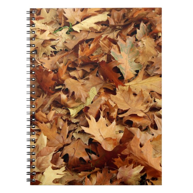 höst, torr löv anteckningsbok (Framsidan)