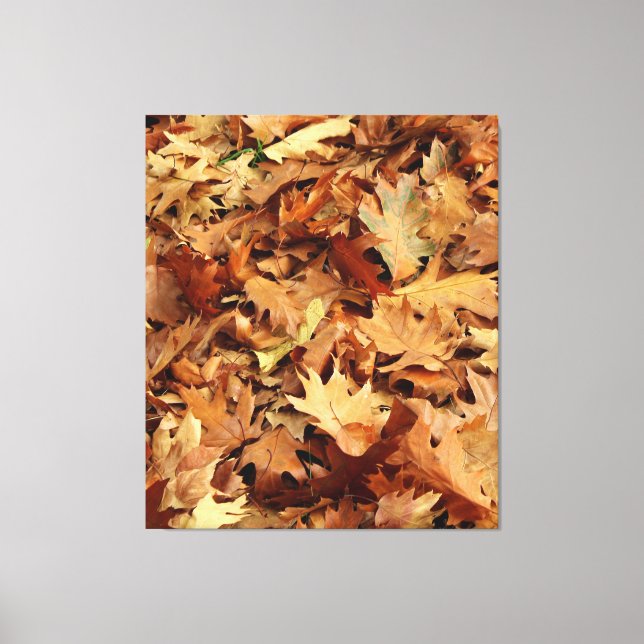 höst, torr löv canvastryck (Framsida)