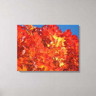 Höst Träd blad konsttryck Canvas Natur konst