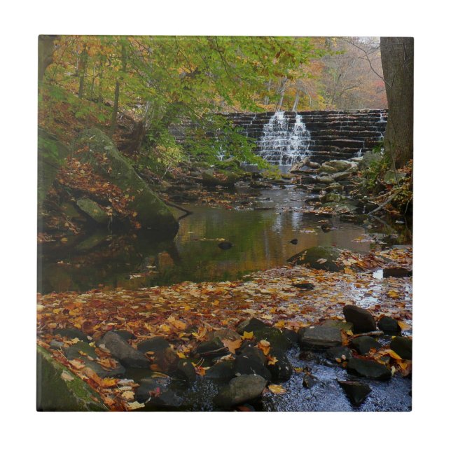 Höst vattenfall och bäck Pennsylvania natur Kakelplatta (Framsidan)