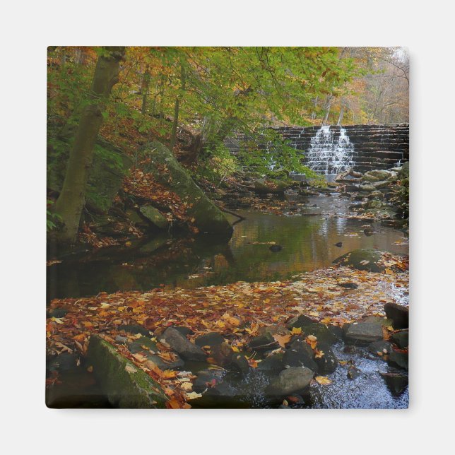 Höst vattenfall och bäck Pennsylvania natur Magnet (Framsidan)