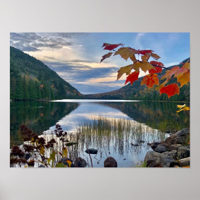 Höst vid Bubble Pond i Acadia Poster (Framsidan)