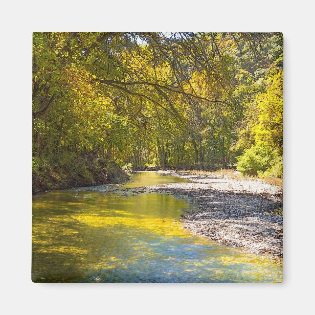 Höst vid Busiek Painterly Magnet (Framsidan)