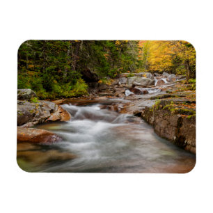 Höst vid Jefferson Brook, New Hampshire Magnet