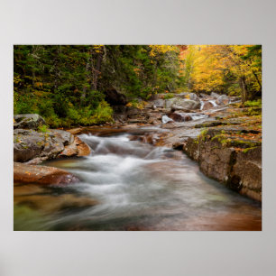 Höst vid Jefferson Brook, New Hampshire Poster