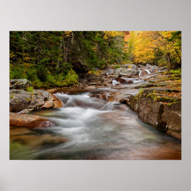 Höst vid Jefferson Brook, New Hampshire Poster (Framsidan)