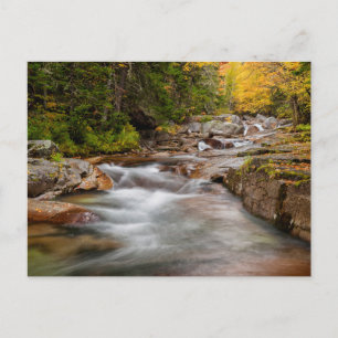 Höst vid Jefferson Brook, New Hampshire Vykort