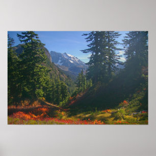 Höst vid Mount Shuksan-utskrift Poster