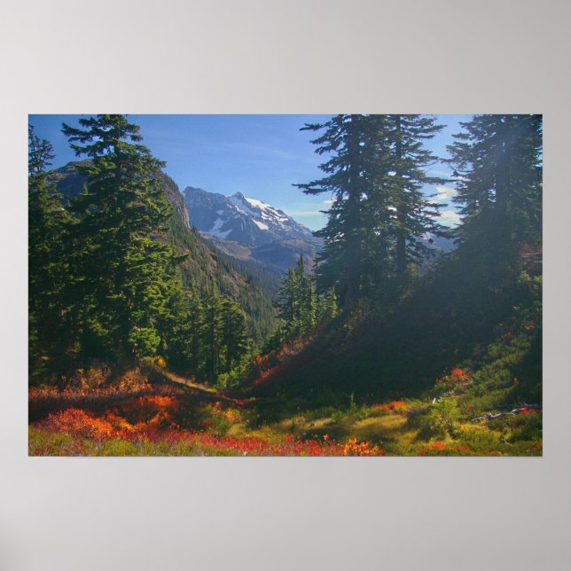 Höst vid Mount Shuksan-utskrift Poster (Framsidan)