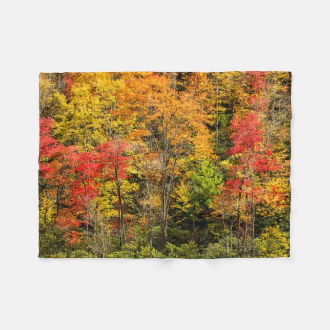 Höst vid Sims Pond North Carolina, Blue Ridge Fleecefilt (Framsidan (Horisontell))