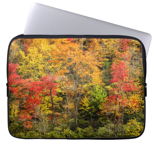 Höst vid Sims Pond North Carolina, Blue Ridge Laptop Fodral (Framsidan)