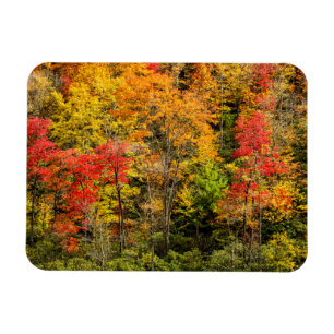 Höst vid Sims Pond North Carolina, Blue Ridge Magnet