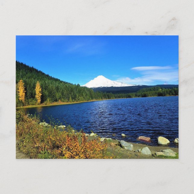 Höst vid Trillium Lake, OR Vykort (Framsida)