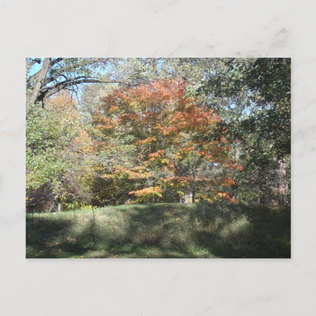 Höst Vykort (Framsida)