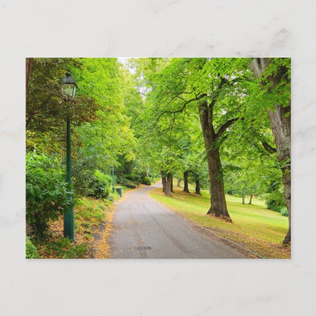 Höst Vykort (Framsida)