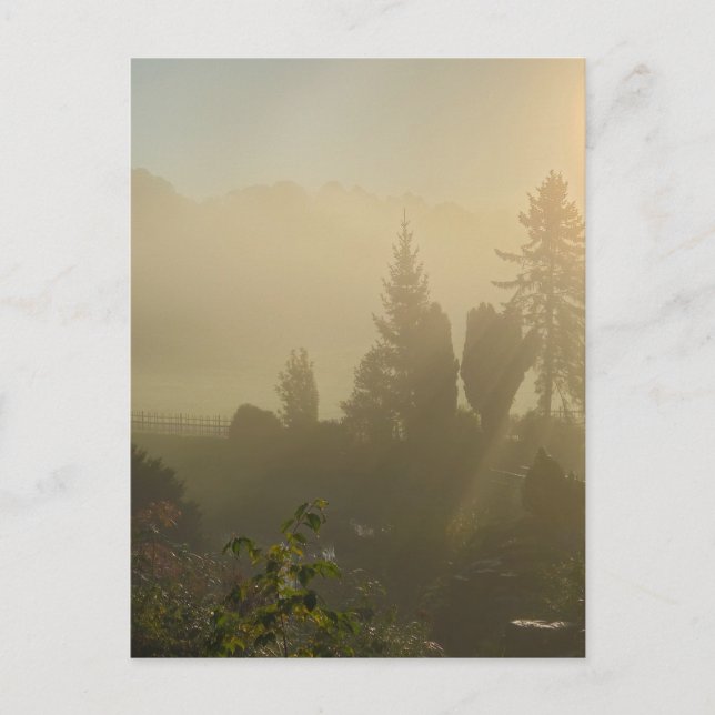 Höst Vykort (Framsida)