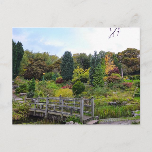 Höst Vykort (Framsida)