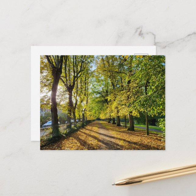 Höst Vykort (Fram/Back In Situ)