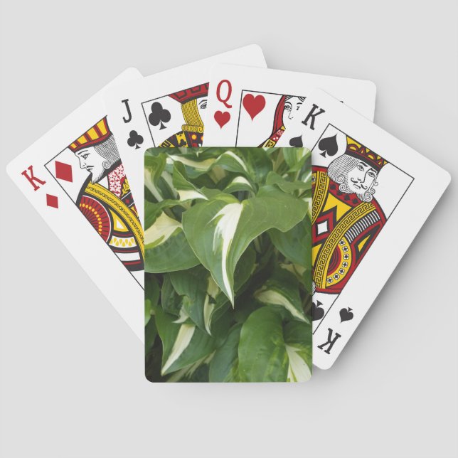 Hosta blad casinokort (Baksidan)