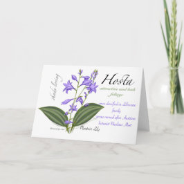 Hosta Blank Card Tack Kort