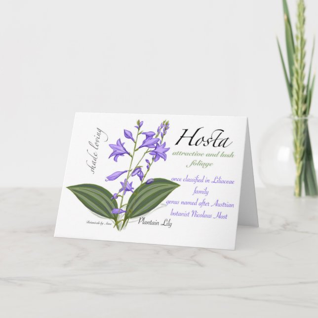 Hosta Blank Card Tack Kort (Framsida)