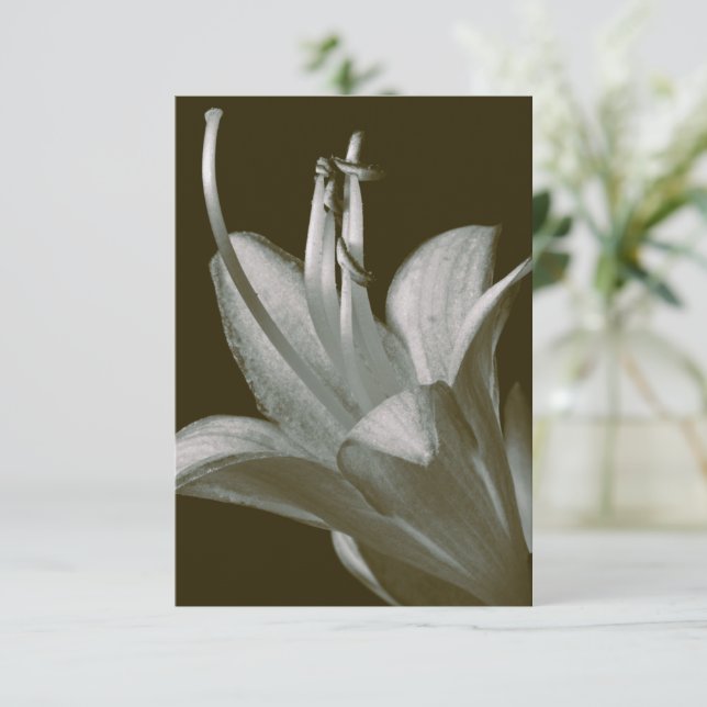 Hosta Blomsterfotografi, Elegant Vintage Sepia (Stående Fram)