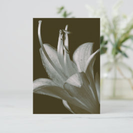 Hosta Blomsterfotografi, Elegant Vintage Sepia