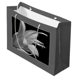 Hosta Flower Black & White Elegant Classic-Blommig