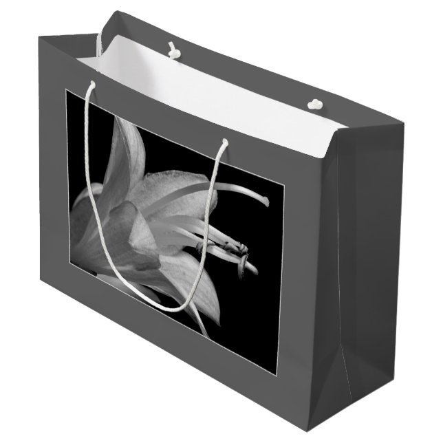 Hosta Flower Black & White Elegant Classic-Blommig (Framsidan Vinklad)