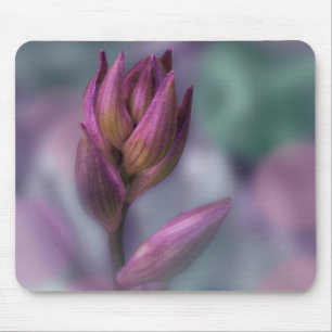 Hosta Flower Bud Lila and Grönt Musmatta