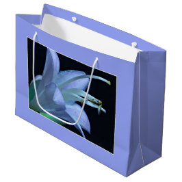 Hosta Flower, Elegant Solo Porträtt Photograph