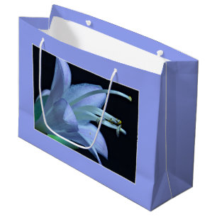 Hosta Flower, Elegant Solo Porträtt Photograph