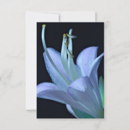 Hosta Flower Söt Lila och Blue Classic Blommigt