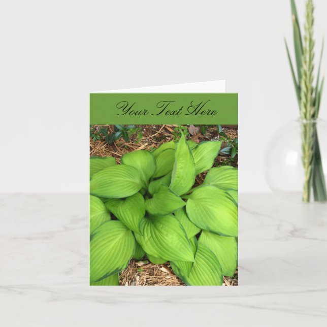 Hosta Grönt Löv Greeting Card Kort (Framsida)