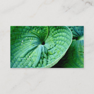 Hosta Heart Visitkort